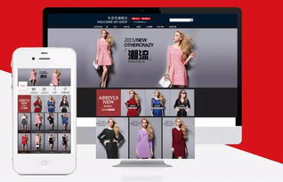 模特与软件外包服务 不同领域的专业分类解析