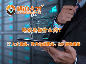 2017厦门哈泊视角下软件外包行业前景分析